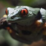 Los BIOPARC claman por la conservación de los bosques tropicales en la celebración de su Día Mundial