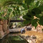 Los BIOPARC con la celebración del 50ª aniversario del Día Mundial del Medio Ambiente