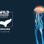 Segunda edición del festival Wild Oceans FilmFest