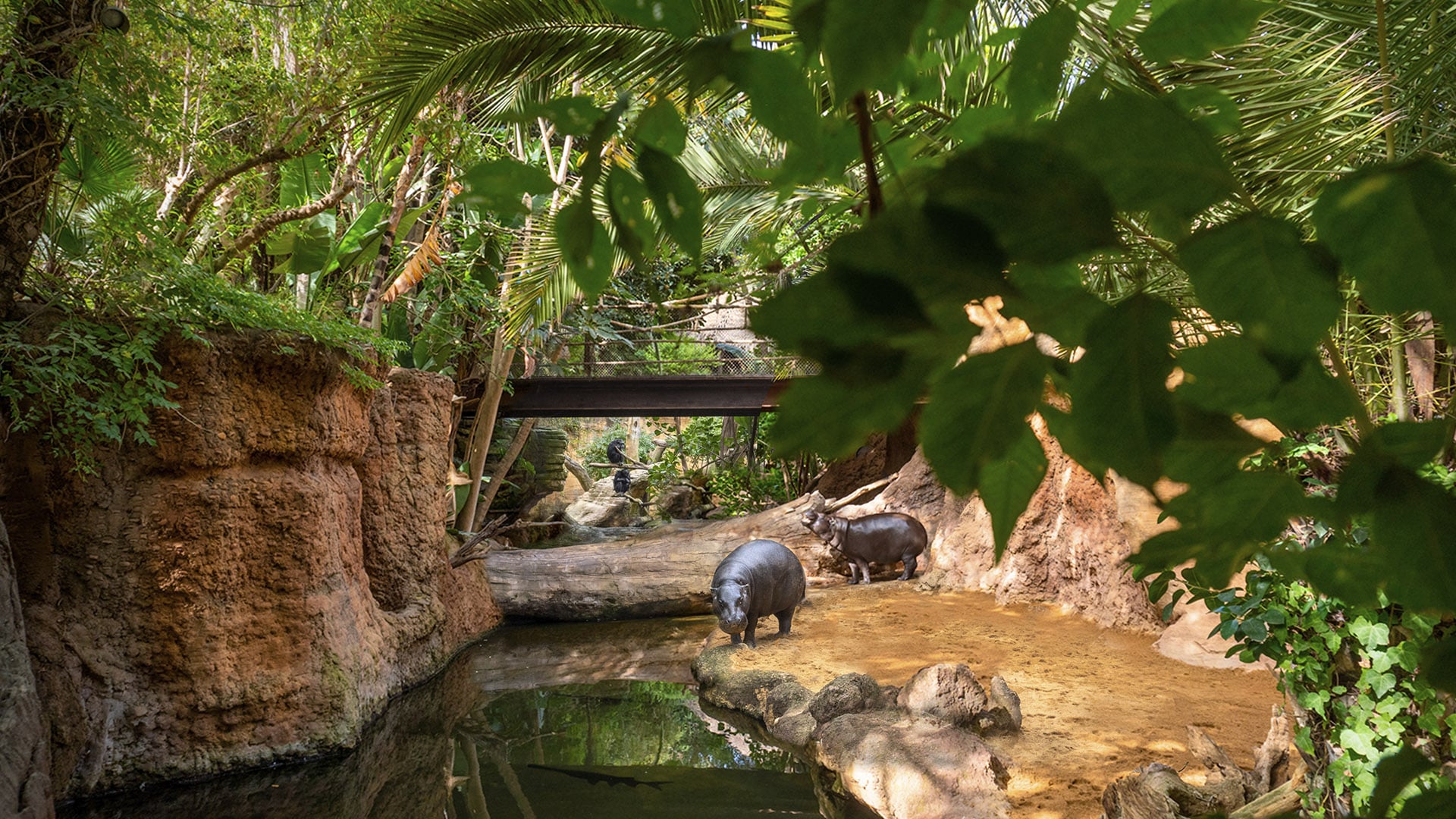 Los BIOPARC se suman al Día de la Madre Tierra con un mensaje de esperanza y acción