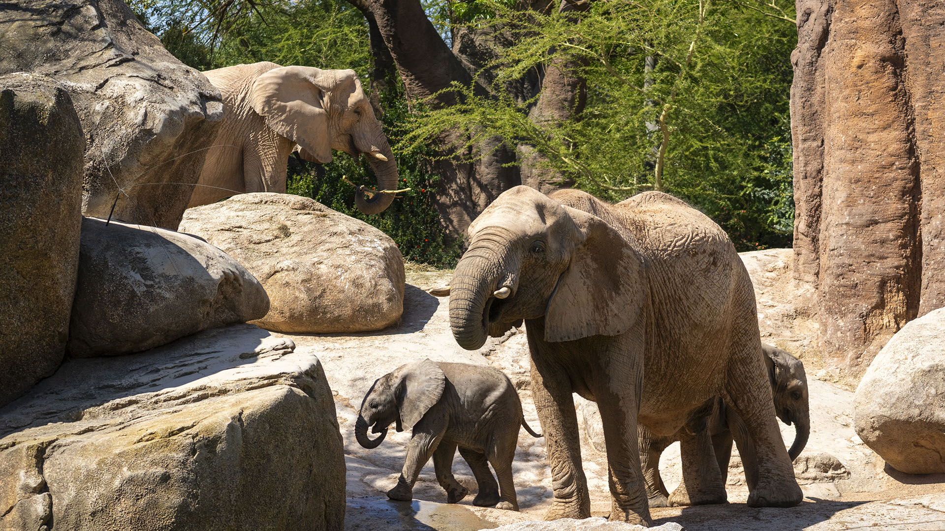 Los BIOPARC afianzan su compromiso con la naturaleza por el Día de la Biodiversidad