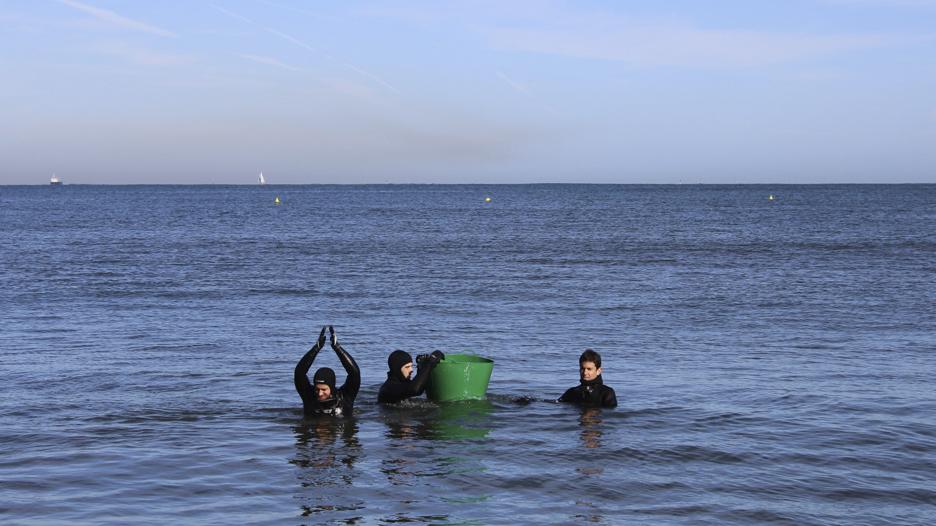 Suelta de animales por parte del equipo técnico de BIOPARC Acuario de Gijón