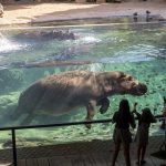 Los BIOPARC, oasis urbanos, se suman a la Semana Mundial del Agua 2025: “Proteger el agua es proteger la vida”