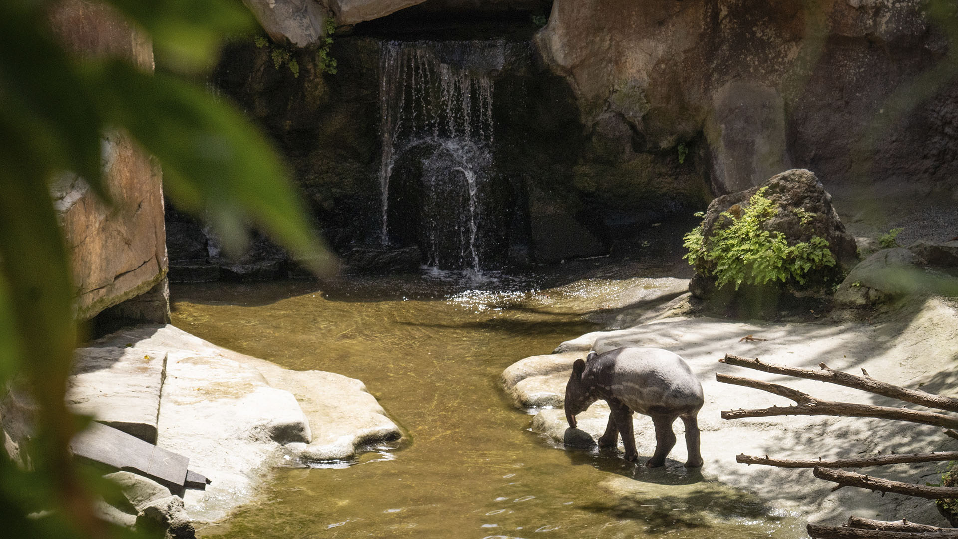 Los BIOPARC, refugios climáticos urbanos