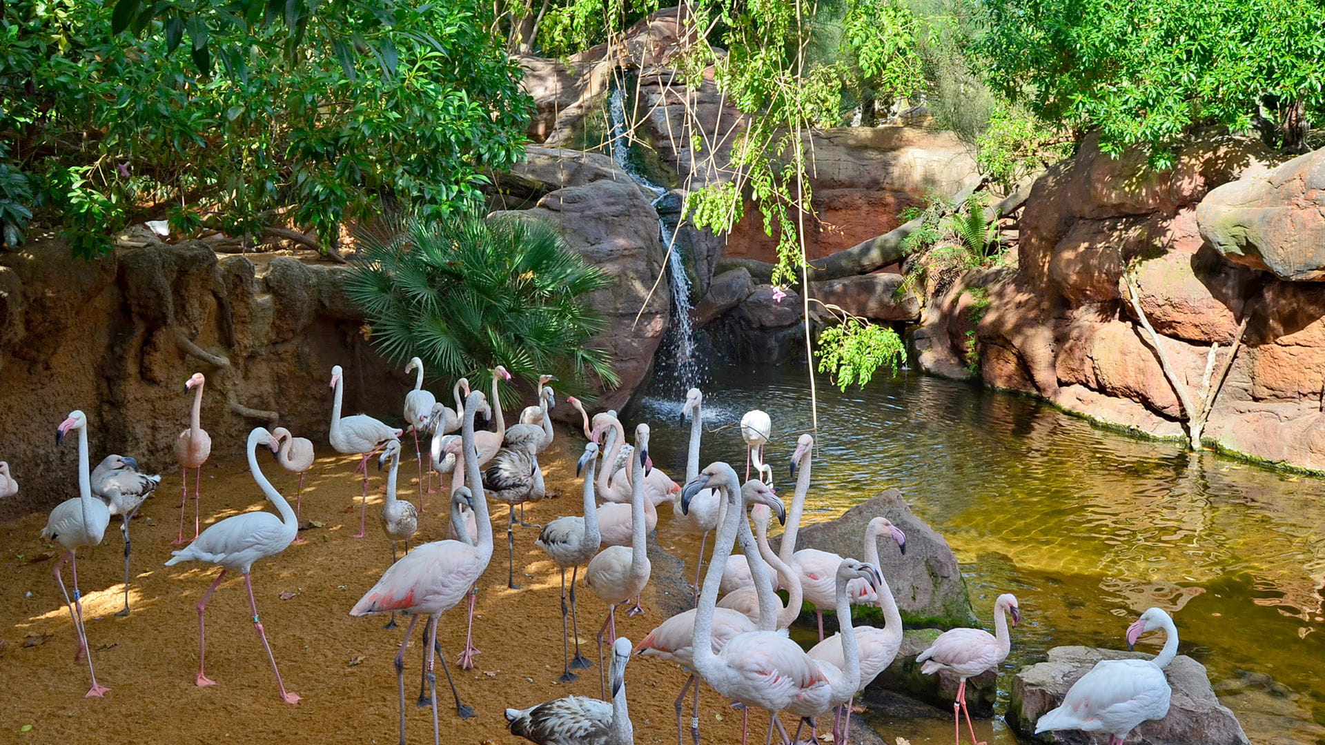 Humedales en BIOPARC Fuengirola Los BIOPARC celebran el Día Mundial de los Humedales poniendo en valor los conocimientos tradicionales y el patrimonio cultural ligado a estos ecosistemas