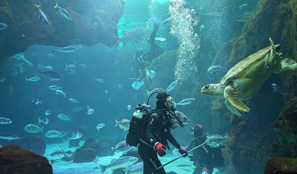 Los BIOPARC ponen el valor de las mujeres en el Día Internacional de la Mujer