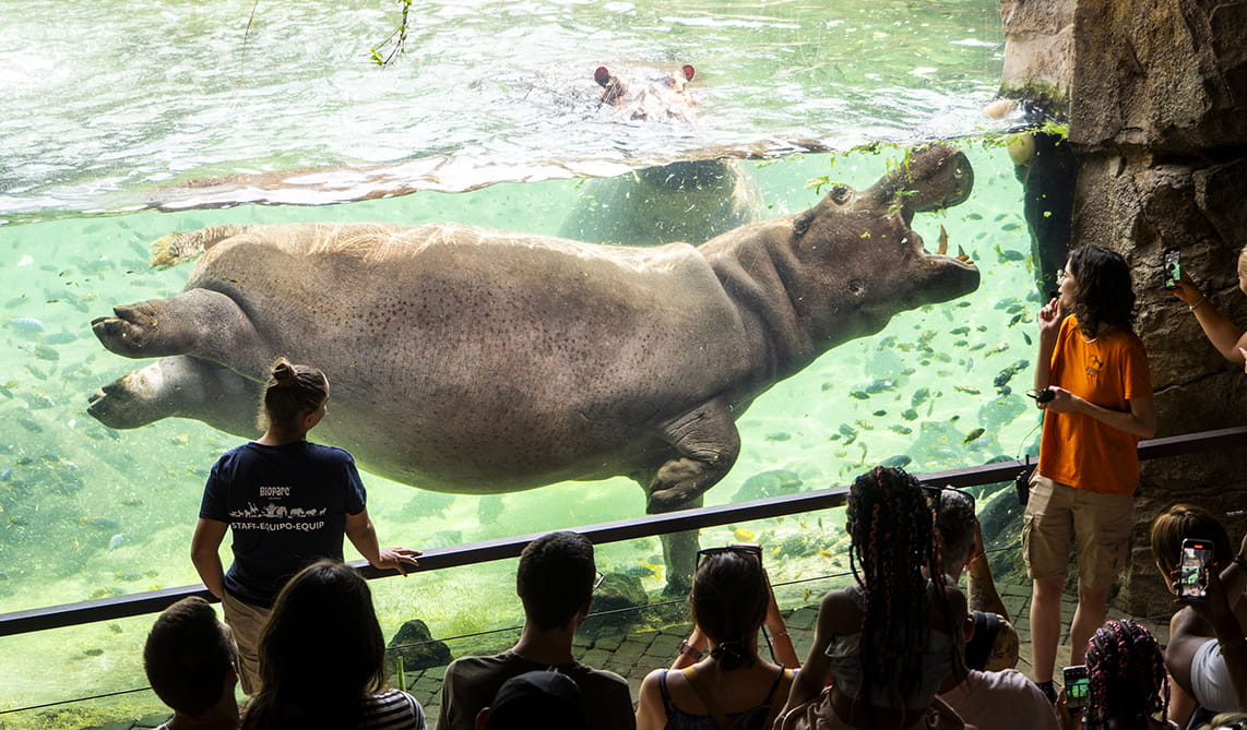 Mujeres realizando actividades de educación ambiental en los BIOPARC