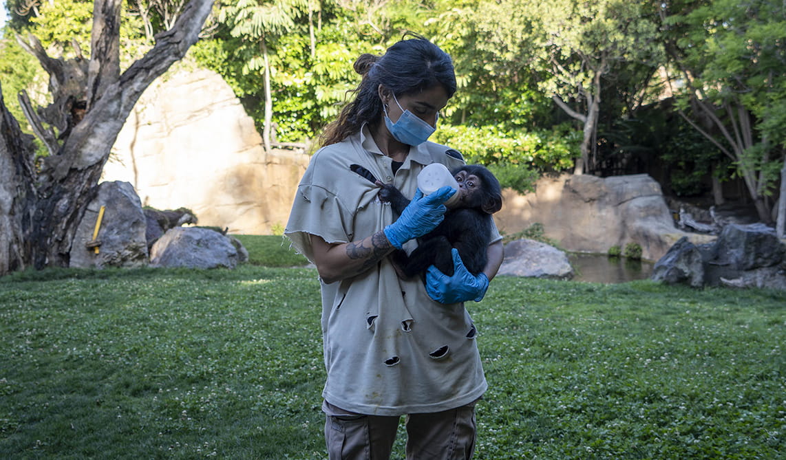 Los BIOPARC de Valencia, Fuengirola y el Acuario de Gijón referentes en la integración de las mujeres