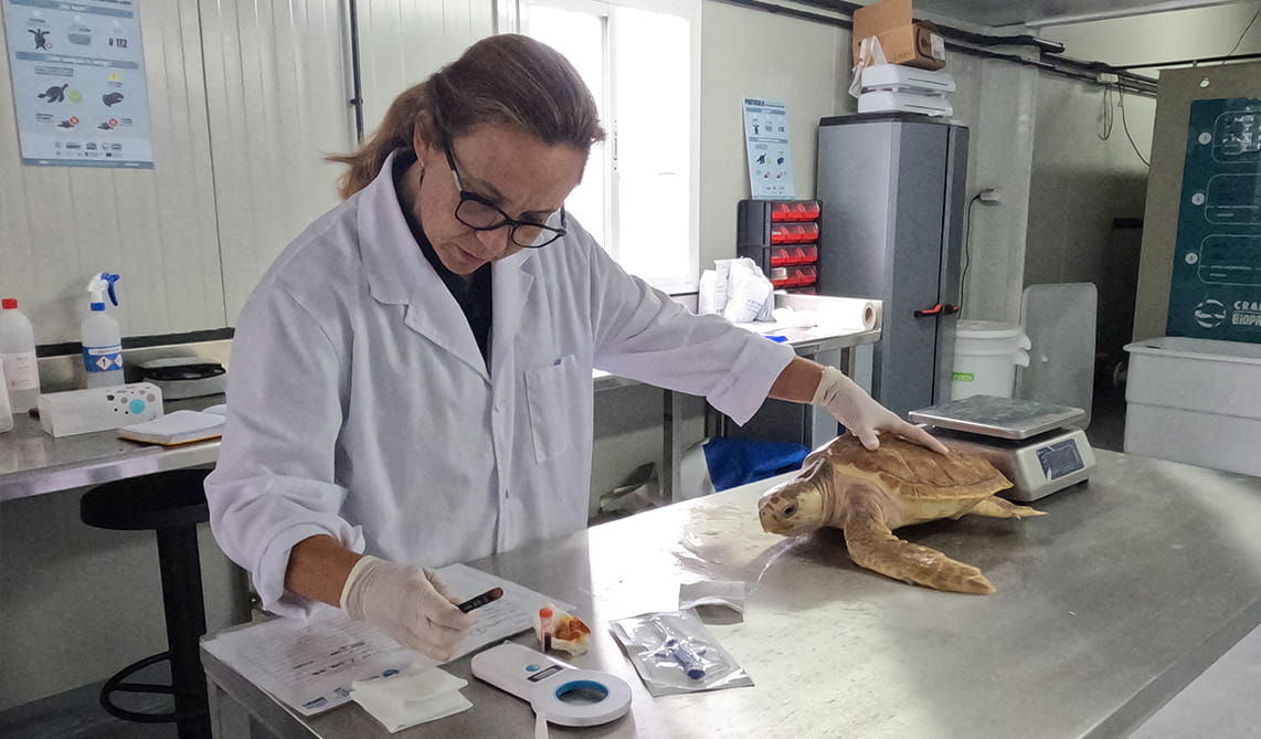 Susana Acle veterinaria e investigadora de BIOPARC Acuario de Gijón
