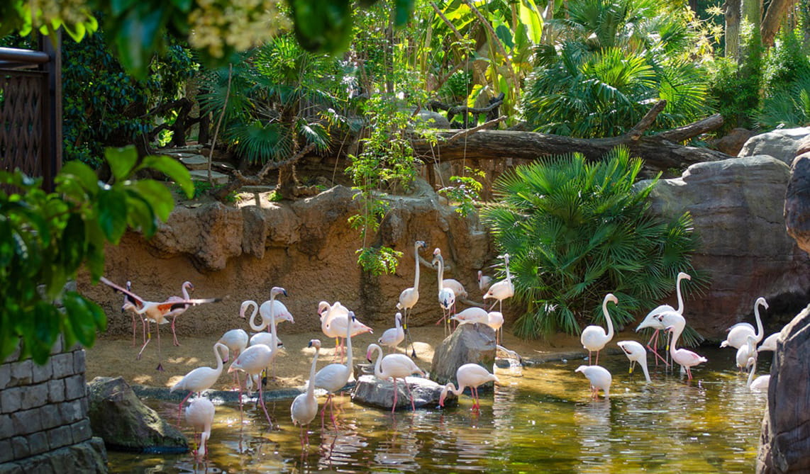 BIOPARC apela al poder de las personas para proteger el planeta en el Día de la Tierra